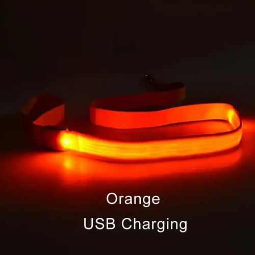 LED Luminous Dog Leash For Dog Safety