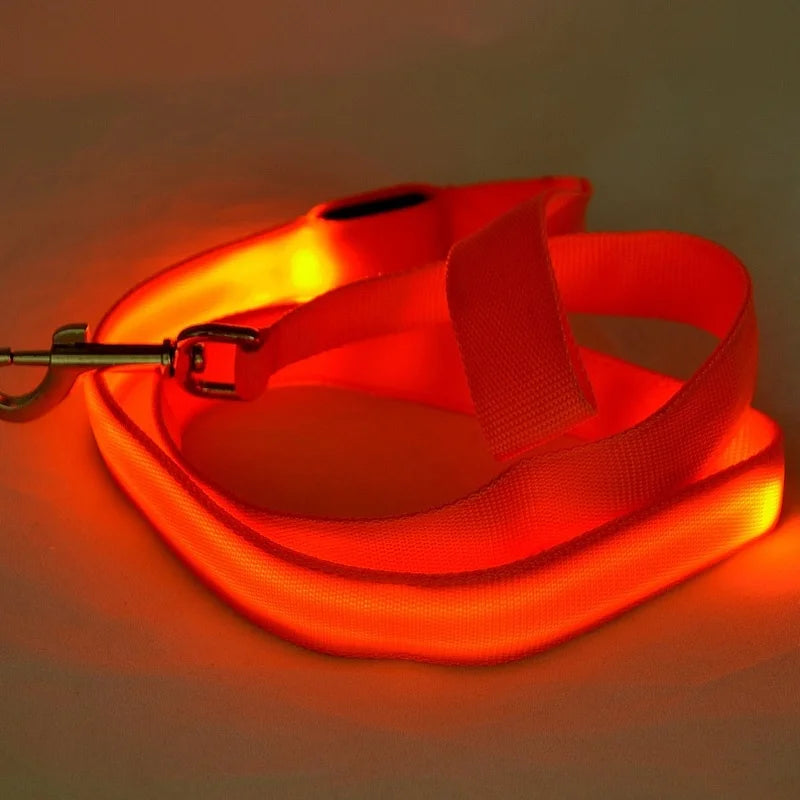 Red LED Dog Leash coiled up on display