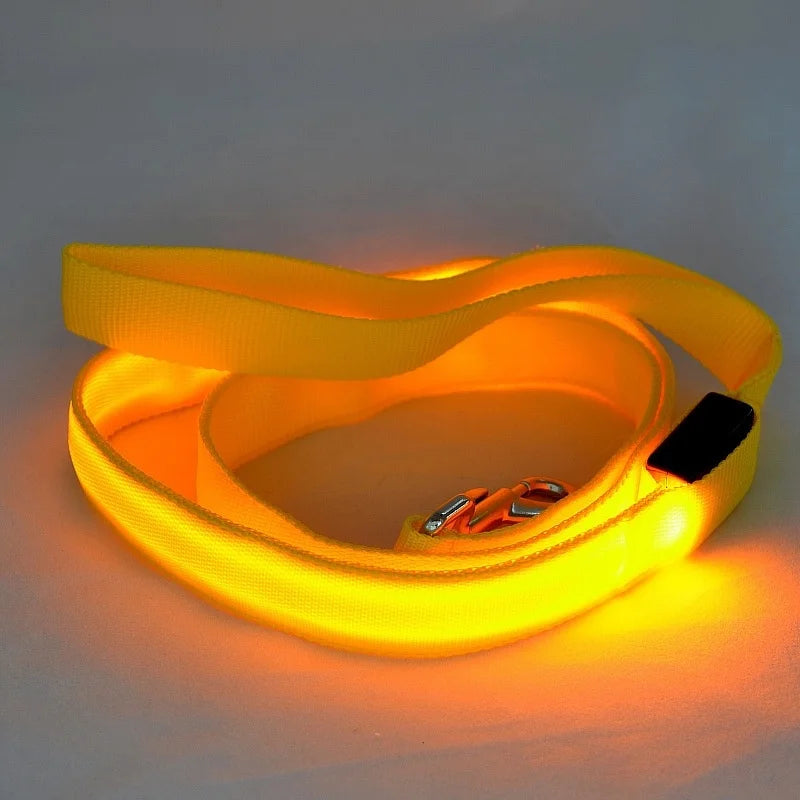 Yellow LED Dog Leash coiled up on display