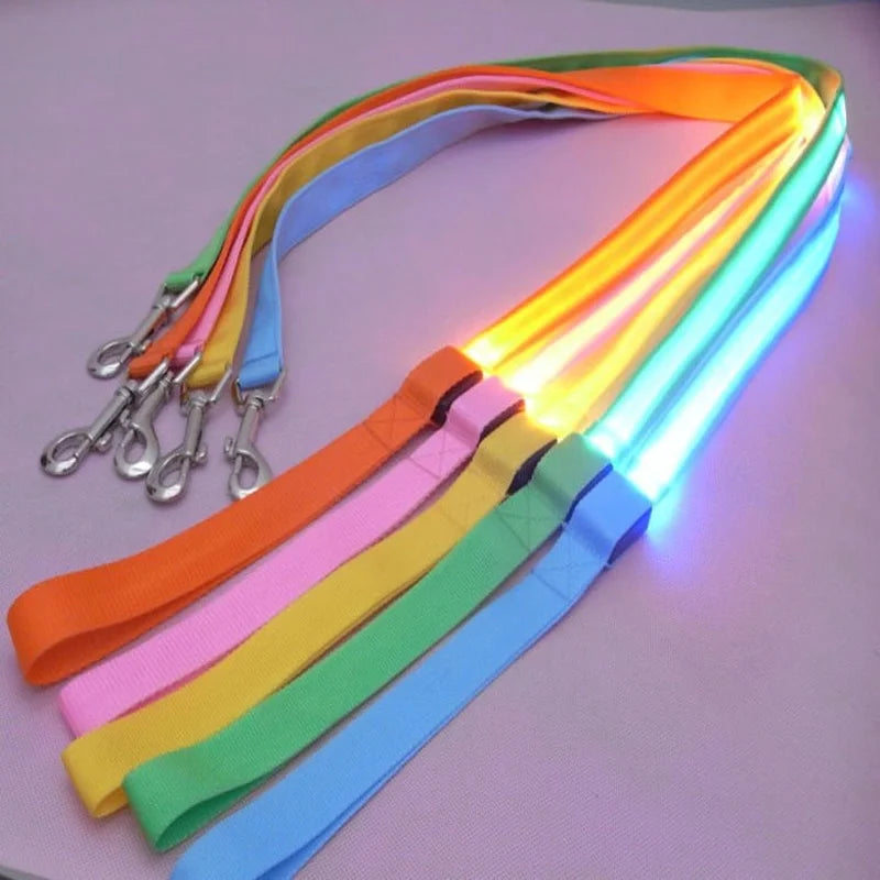 Five LED Dog Leashes placed next to each other in the colors red, pink, orange, green and blue