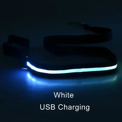 LED Luminous Dog Leash For Dog Safety