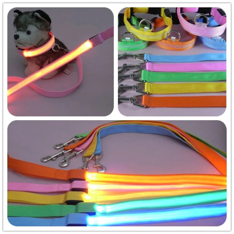 LED Luminous Dog Leash For Dog Safety