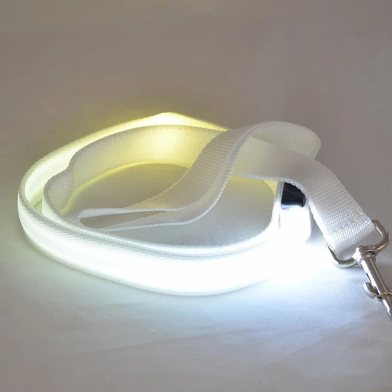 White LED Dog Leash coiled up on display