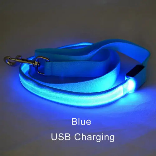 LED Luminous Dog Leash For Dog Safety